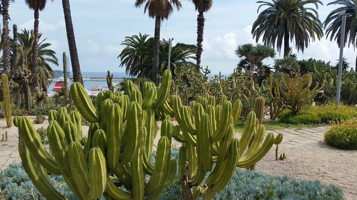 Jardins Biodiversitat 3